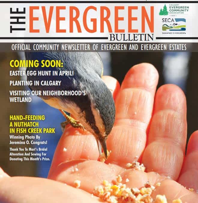 Evergreen March 2020